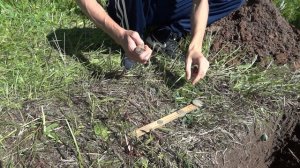Minelab Vanquish 540 vs Minelab Equinox 600 Полифония  рулит! Тест металлоискателей
