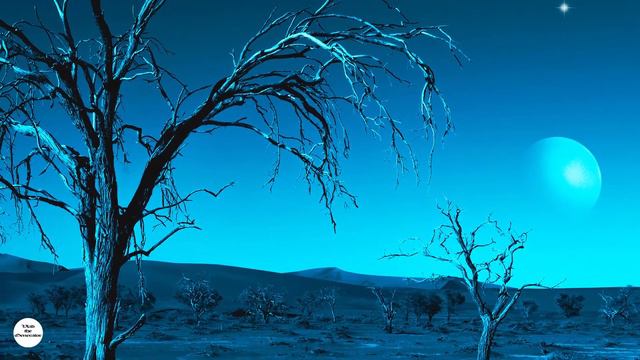 Life on a Lonely Planet | SPACE AMBIENT смотреть онлайн