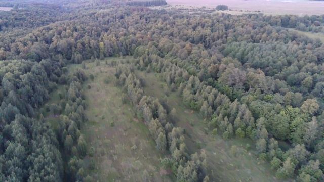 0133 05 06 2021 Квадрокоптер Кабан Лось смотреть онлайн