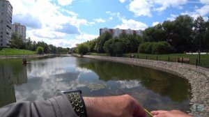 Ошибся или нет? Карась на спиннинг. Дегунинский пруд