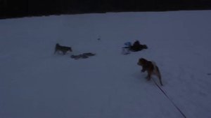 Тростенское озеро || Рыбалка на щуку 2017 || Как добраться