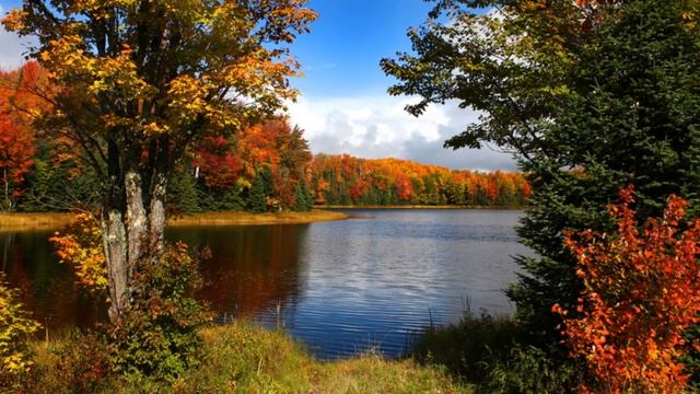Закружила осень золотая... смотреть онлайн