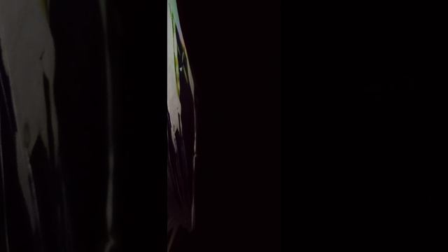 👽Shout Out 🗣️2 Thee@benjamin netanyahu Uncle Ben👽 Ammi wants2 🛸Collaborate 👽🛸👽🖤👽 #interdimensional смотреть онлайн