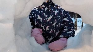 ледяная крепость в деревне