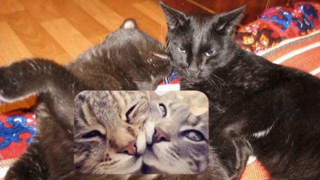 Снова вместе, снова рядом