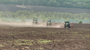 Вторая половина апреля для аграриев Адыгеи - оптимальный срок сева сои