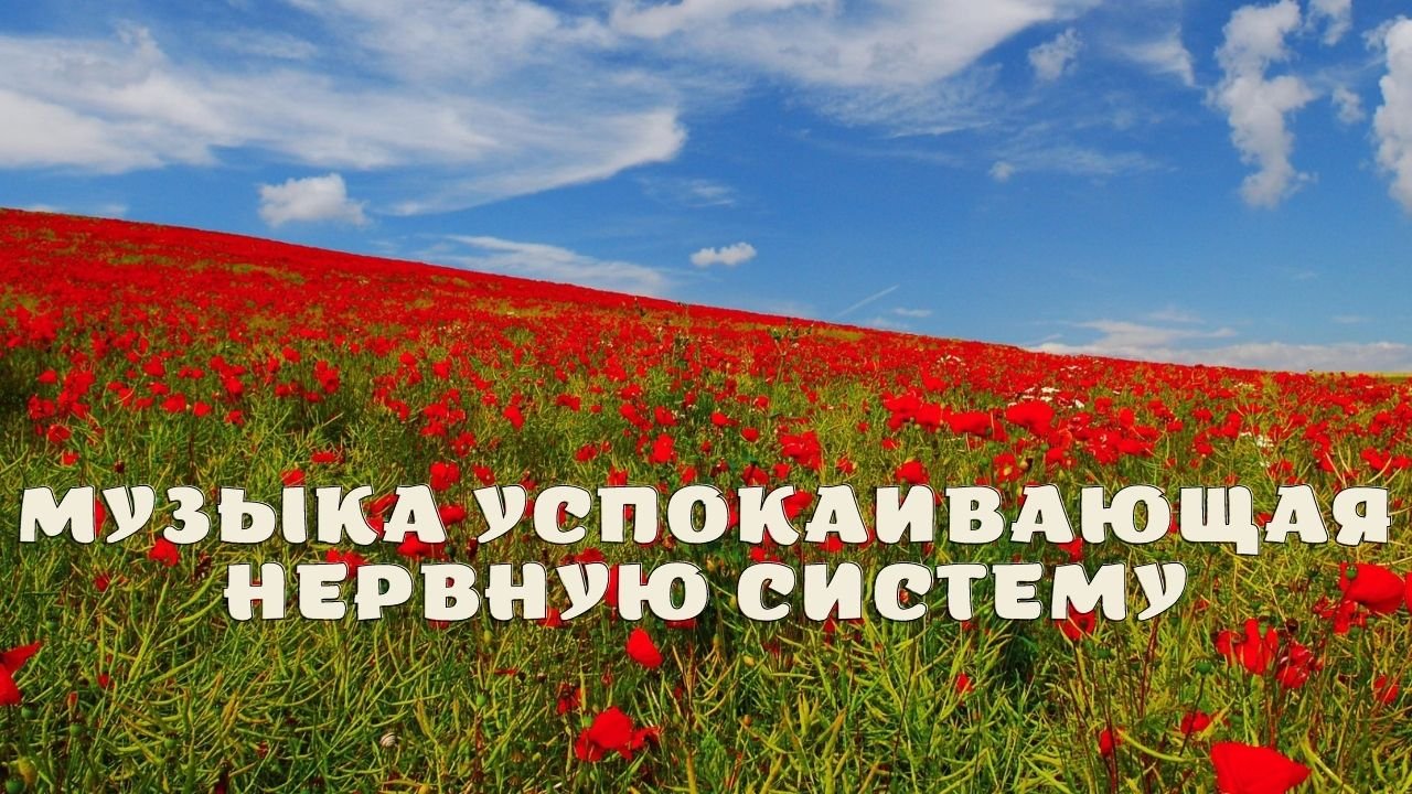 Музыка успокаивающая нервную систему