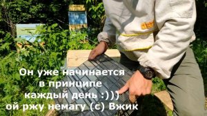 Апитерапия. Что это и зачем? Подставляем магазины.