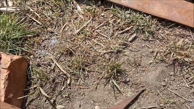 Замена подшипников роликов поршня на прессе Киргизстан смотреть онлайн