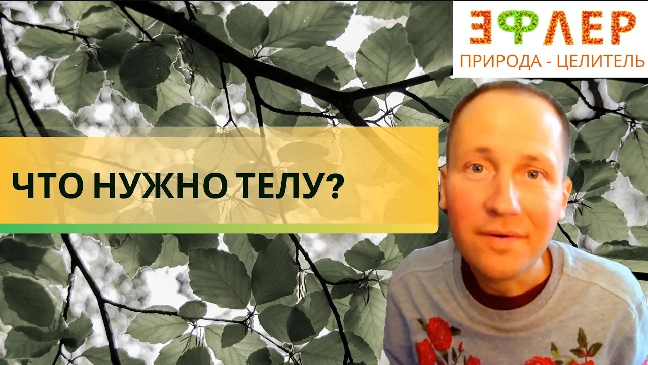 ОСТРЫЙ НЕГАТИВ ПО РЕДКИМ МИНЕРАЛАМ, ЧЕМ ОПАСНО? ВЛИЯНИЕ НА МИКРОБИОТУ, КАК ОБНАРУЖИТЬ? КАК ИСПРАВИТЬ