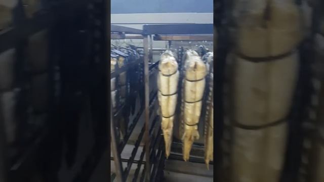 Производство балыка осетровых пород рыб смотреть онлайн