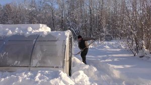 Пасека на связи # 7 мороз и солнце, и снег