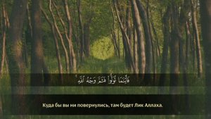 АбдуРахман Ар Рушуд | сура 2 «Аль Бакара» (Корова), аяты 113-119