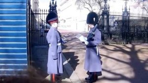 Changing of the Guard At Clarence House London