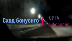 Сход бонусного сига в феврале