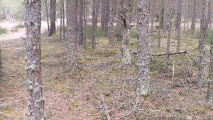 Сравнительный Low Band тест самодельных антенн относительно Yaesu YHA-64.