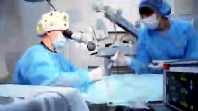 Трогательная история щенка по имени Лис смотреть онлайн