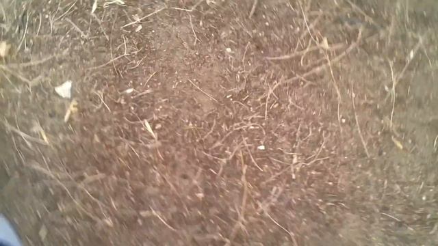 Первое сальто бурана смотреть онлайн