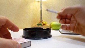 Дегустация турецкого табака сорта Мутки