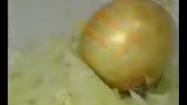 Терка c V образным ножом смотреть онлайн