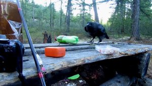 Кодар 2017. Часть3|Река Сюльбан