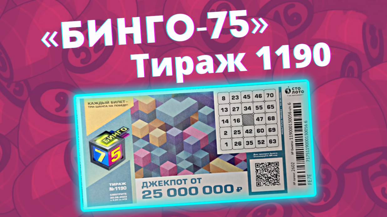 Тираж 075 25.02 2024. Бинго билет.