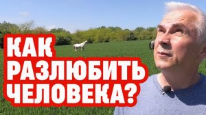 Как разлюбить?  Александр Ковальчук