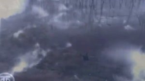 Медный всадник(поэма А.С. Пушкина). Читает Ирина Калашникова