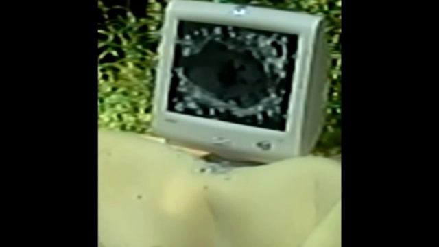 Slow Motion: Drozd Blackbird vs Old Computer Monitor Part 2 смотреть онлайн