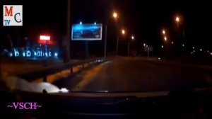 Нападение собаки породы АЛАБАЙ на человека!