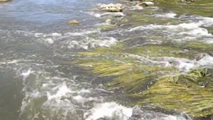 Перекат.Николаевская обл. Конецполь