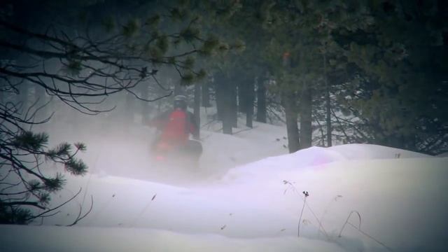 Dayco - HP, HPX and XTX Snowmobile Belts смотреть онлайн