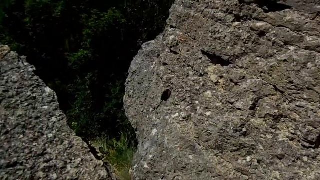 Воргольские скалы, Заповедник "Галичья гора" в Липецкой области - колхозный обзор на место смотреть онлайн