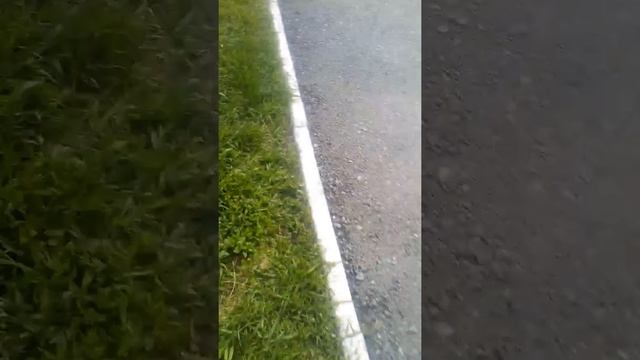 Что будет если цветы полить дозировкой? смотреть онлайн