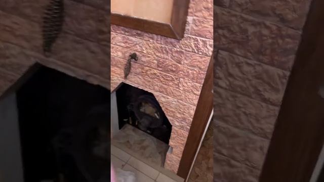 Приточная вентиляция под печь в бане