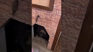 Приточная вентиляция под печь в бане