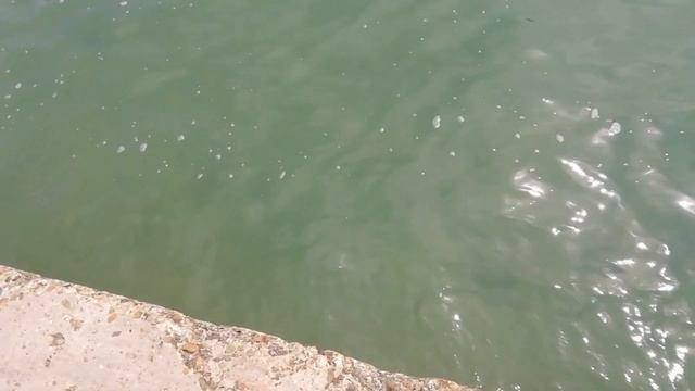 АРХИПО ОСИПОВКА 2020 ЦЕНТРАЛЬНЫЙ ПЛЯЖ ОТКРЫТ ЧЁРНОЕ МОРЕ ПОГОДА ТЕМПЕРАТУРА ВОДЫ