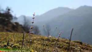 Село Зумсой.