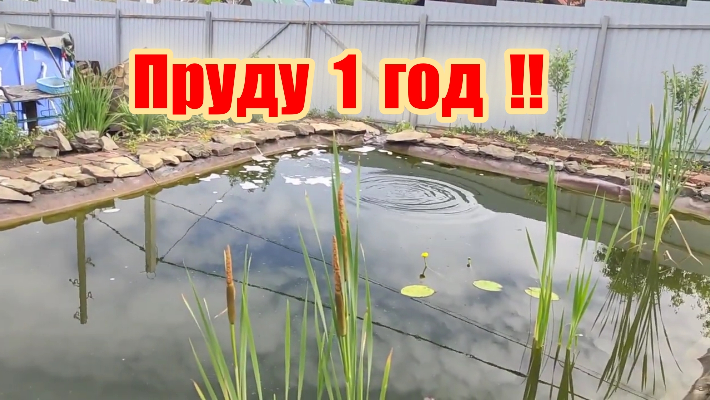 Пруду 1 год что с ним стало ! смотреть онлайн