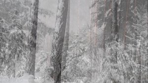 ~ЗИМНЯЯ СКАЗКА~Красивая романтическая мелодия на пианино...