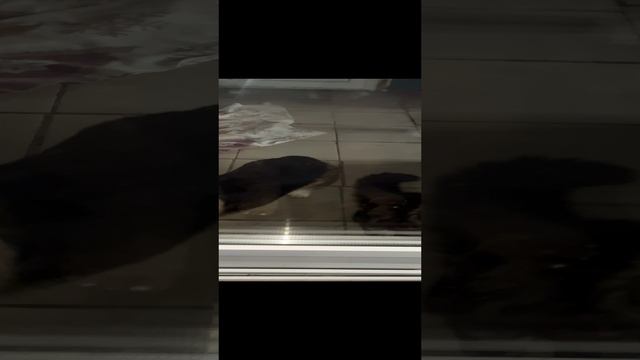 2022-11-10
