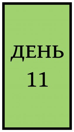 День 11