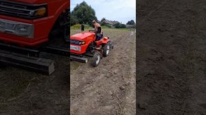 копаем картушку минитрактором .грохотная копалка