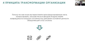 4 основных принципа трансформации организации
