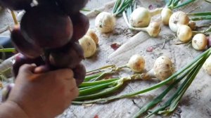 Как красиво плести лук на стену. Мастер класс от мамы!