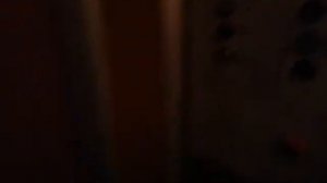 Электрический лифт V=0,71 м/с, грузоподъемность 320 кг (354)