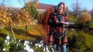 Петуния. Сорта,фото и названия. Отзыв о сортах петунии.