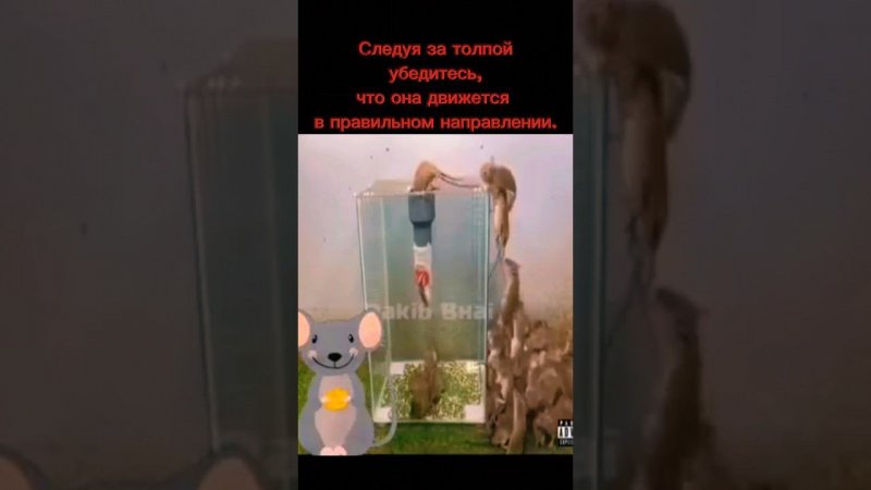 смотри не ошибись