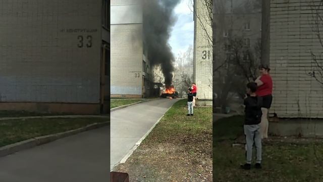 Гриша заречный нива Гриша заречный нива