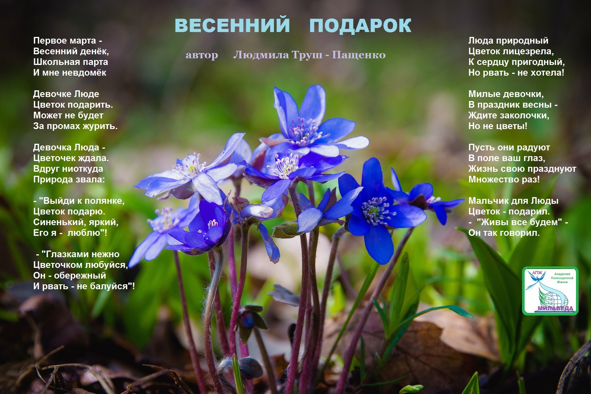 Весенний подарок